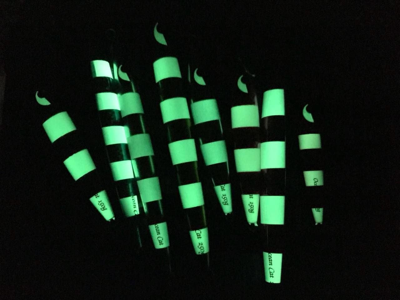 1PC Slow Fall Pitch Fishing Lure – Sinking Lead Metal Flat Jig with Hook for Saltwater Fishing, 4 Colors, 160g/200g